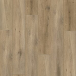 Callisto Dryback 4103 Natural Oak Smoked