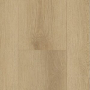 Firmfit Dryback 6500 Sierra Light