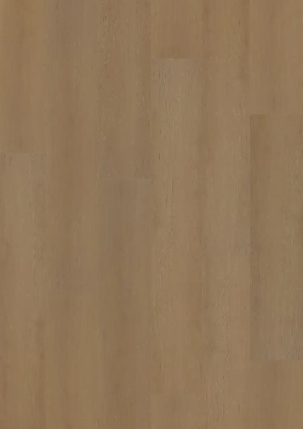 Hoomline Prestige 5053 plank frontal