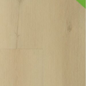 Sierra Dryback 2001 Beige