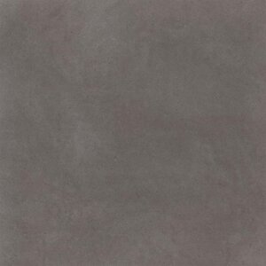 Baroso dryback grey