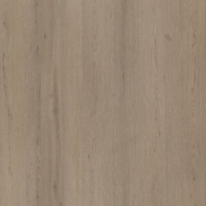 Venera dryback smoky