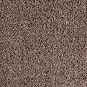 Season 41 taupe