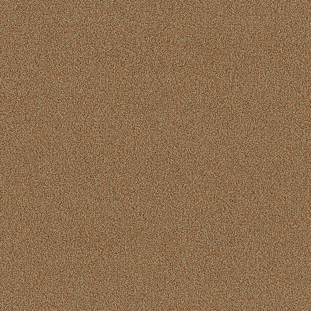 Traffic steppe 0495