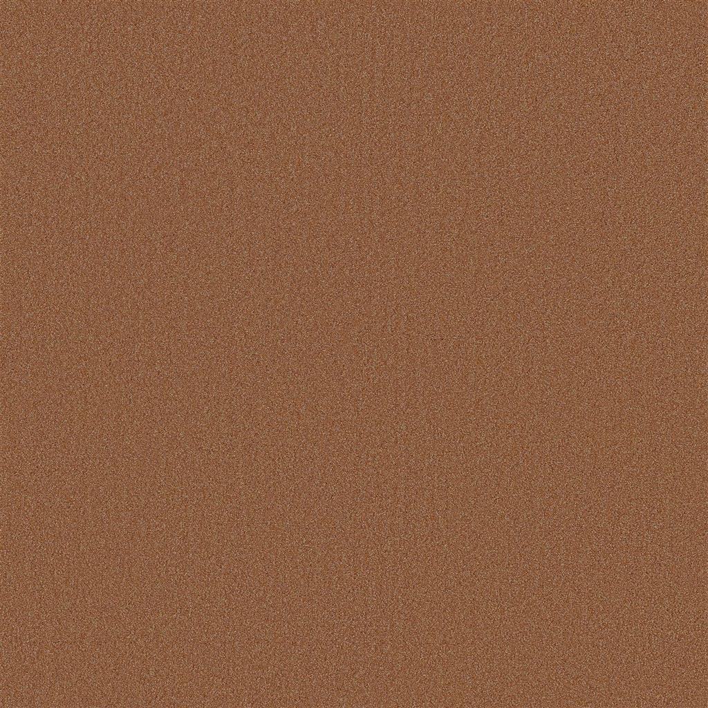 Houston oranje 0300