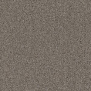 Baltimore hazelnoot 0465