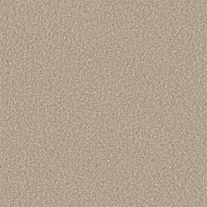 Tide Gallia beige 0400