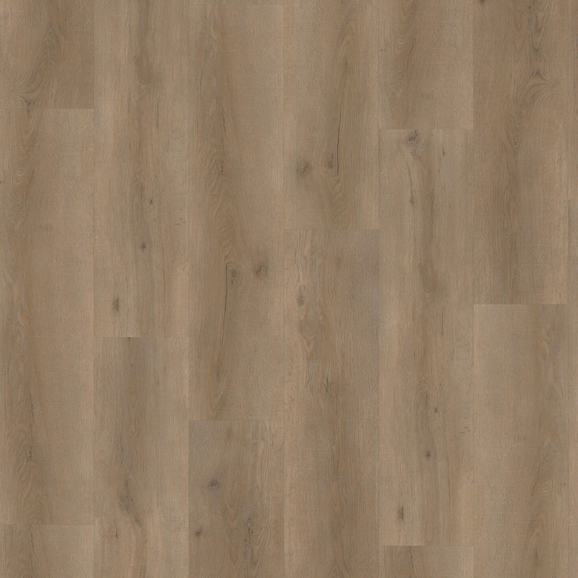 Eiken 6860 - clickvariant - Afbeelding 3