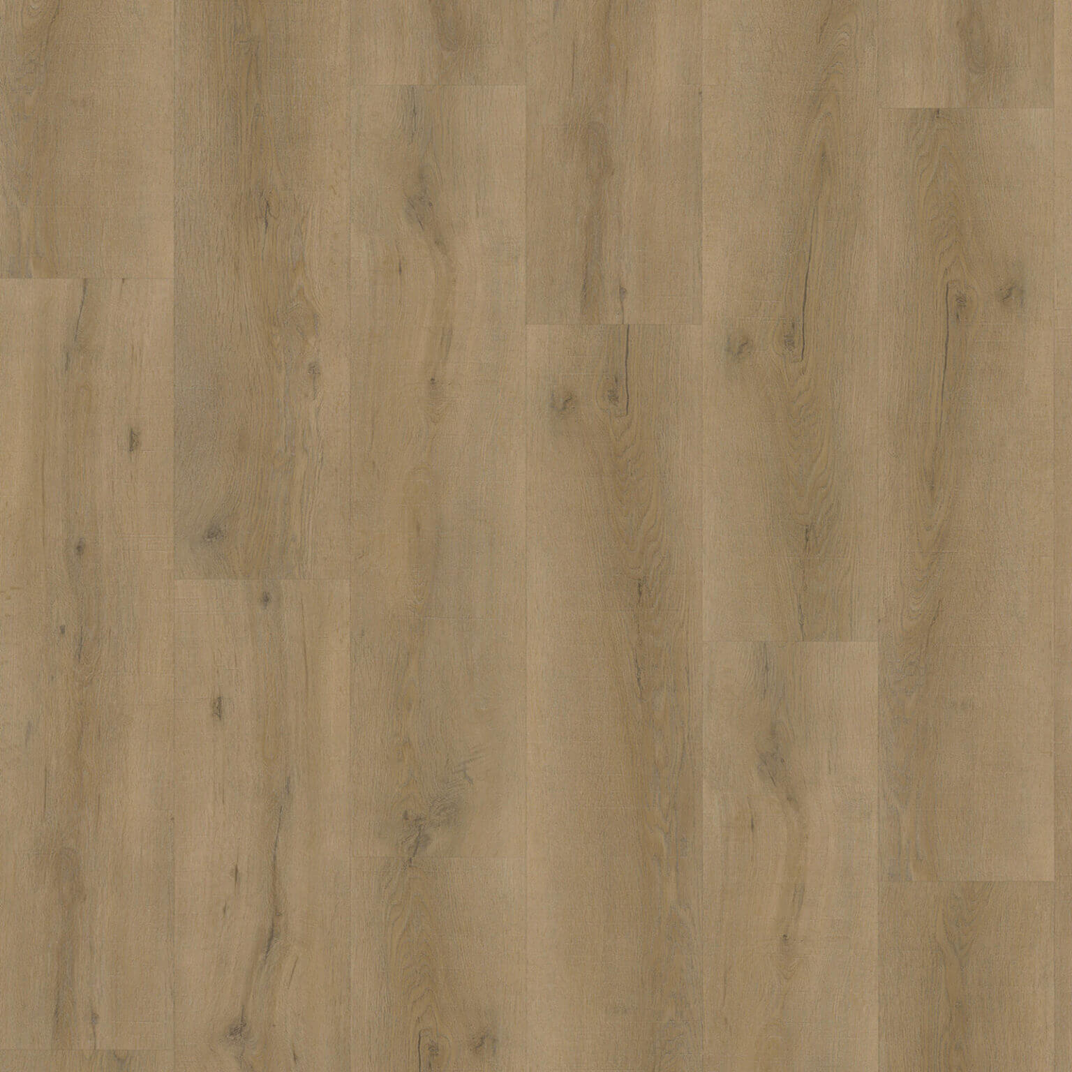 Eiken 6870 - lijmvariant - Image 5