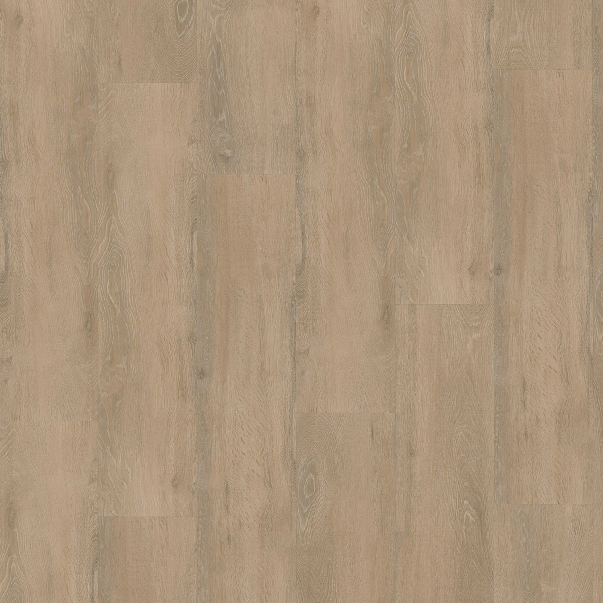 Eiken 8360 - clickvariant - Image 3