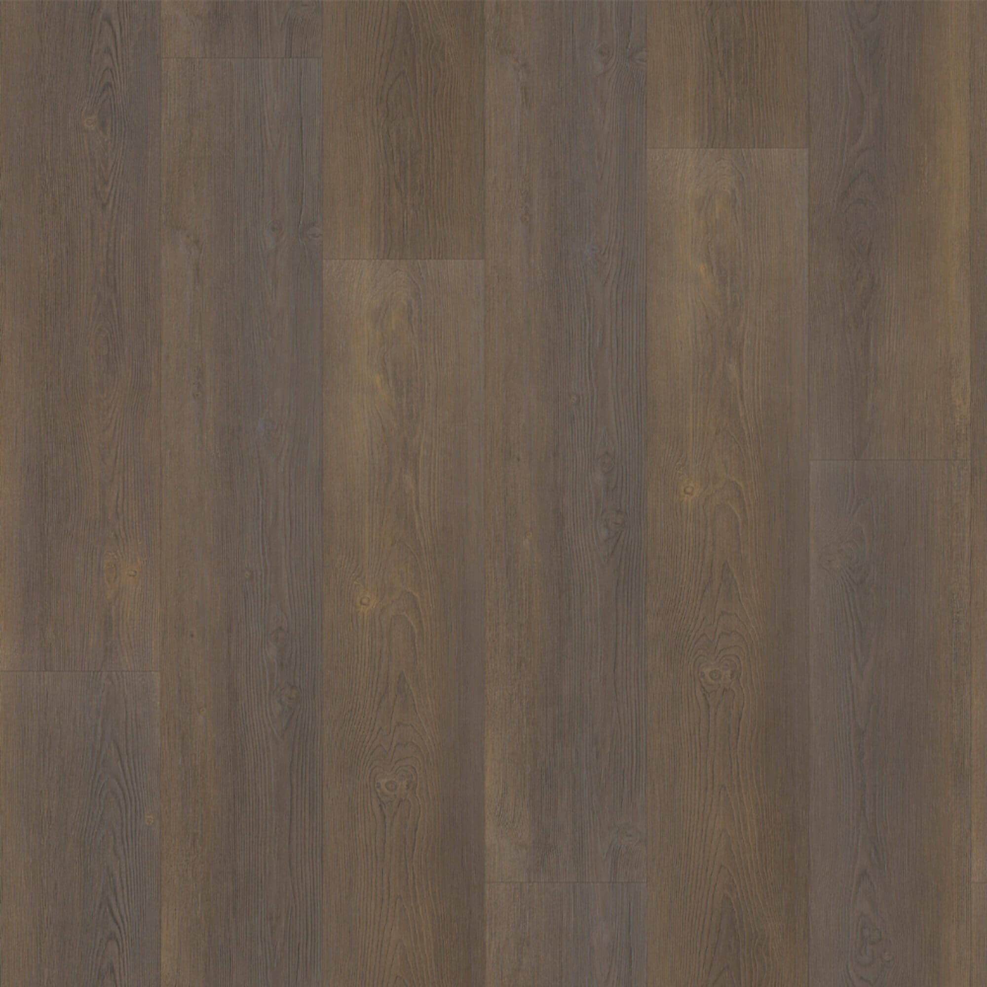 Naaldhout 4530 - clickvariant - Image 3