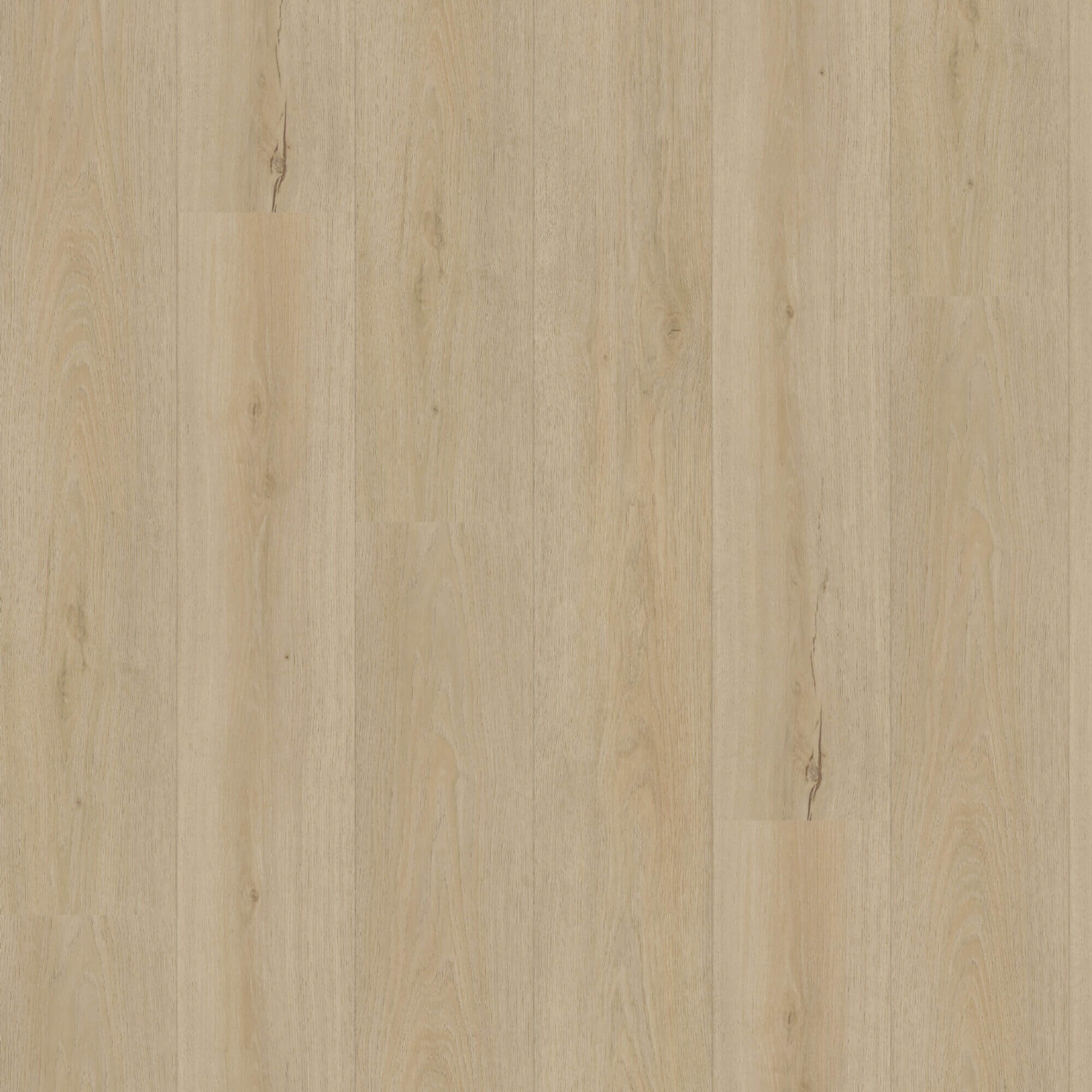 Eiken 7220 - clickvariant - Afbeelding 3